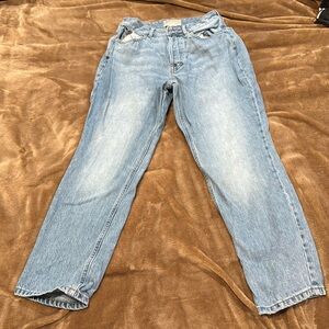 Everlane The Curvy 90’s Cheeky Straight Jenas Size 28 Crop.